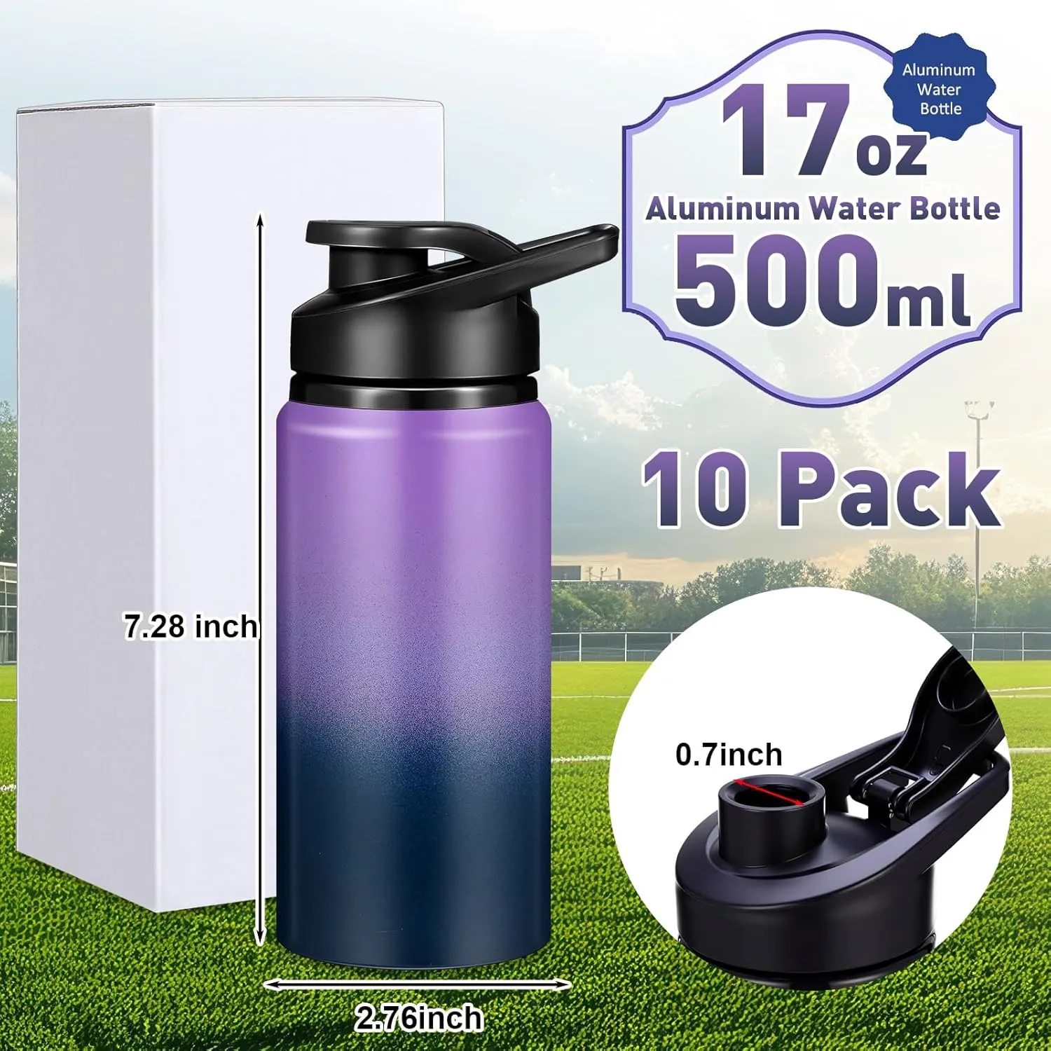 10 Pcs Aluminum Water Bottle 17oz Aluminum Reusable Bottles Lightweight Snap Lid Sports Water Multipack Easy Carry Leak Proof Travel for Gym Camping Hiking Outdoor Fishing (Dark Blue，purple)