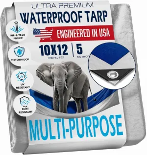 10x12 Tarp Waterproof Plastic Tarp - Grommets Every 18 Inches - 5 Mil - Multipurpose Water Proof Cover for Rain, Outdoor, Garden, Camping, Emergency Survival (Reversible Tarpaulin, Blue and Silver)