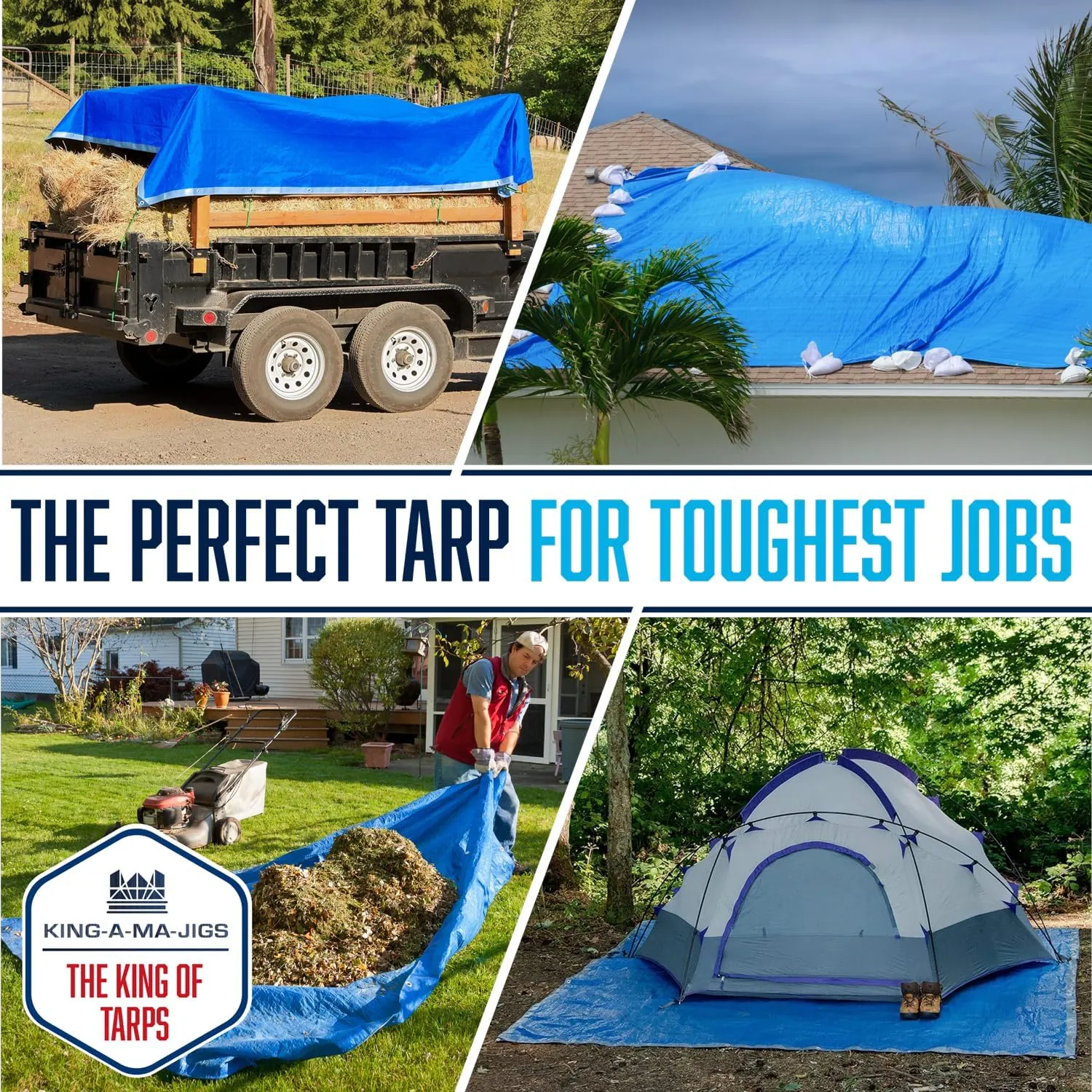 10x12 Tarp Waterproof Plastic Tarp - Grommets Every 18 Inches - 5 Mil - Multipurpose Water Proof Cover for Rain, Outdoor, Garden, Camping, Emergency Survival (Reversible Tarpaulin, Blue and Silver)