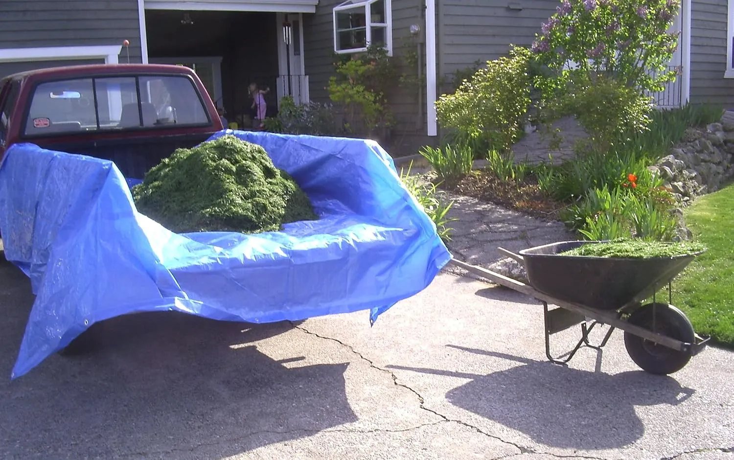 12' x 16' Foremost Tarp 81216 Blue Cut Size 5-Mil Tarp