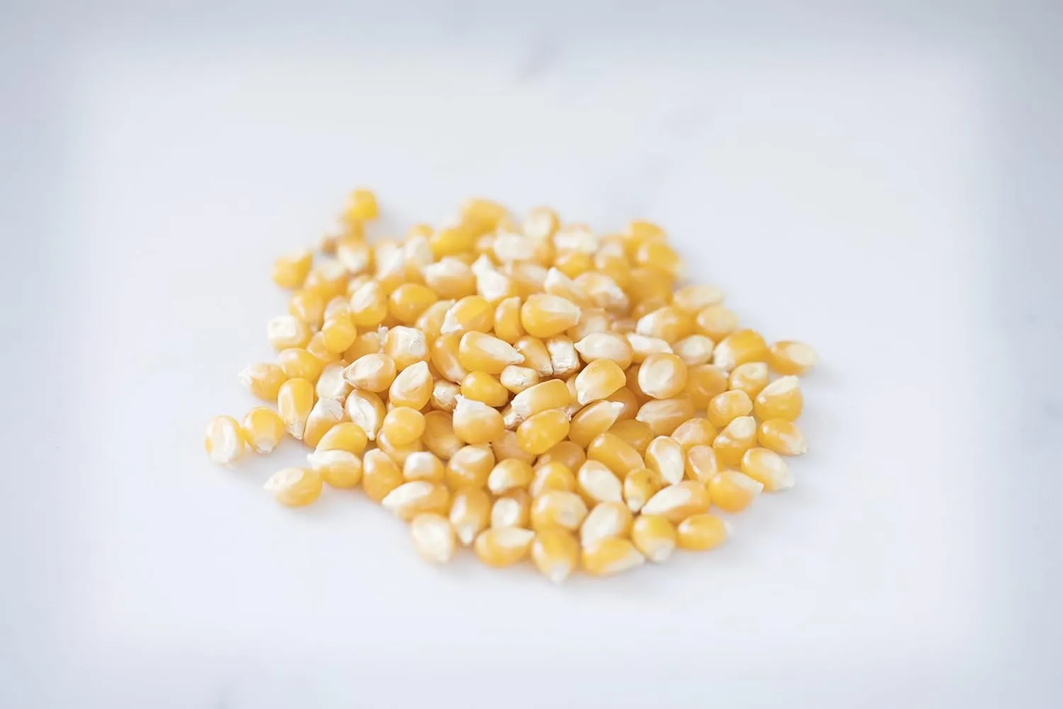 Amish Country Popcorn | 6 lb Bag | Medium Yellow Popcorn Kernels | Old Fashioned, Non-GMO and Gluten Free (Medium Yellow - 6 lb Bag)