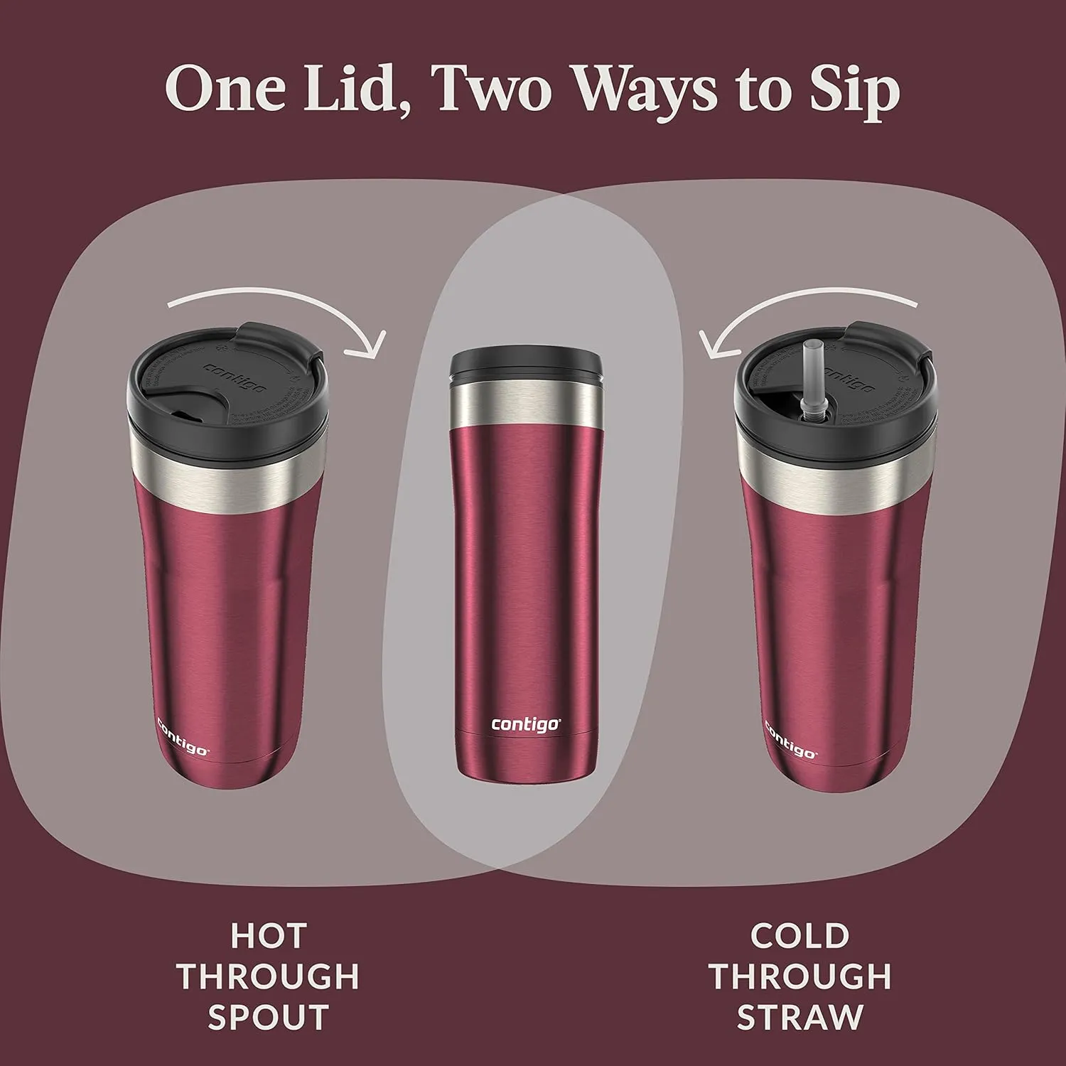 Contigo Chocolate Truffle Beverage|Water Bottles, 24 oz