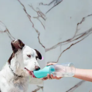 Leakproof Dog Water Bottle