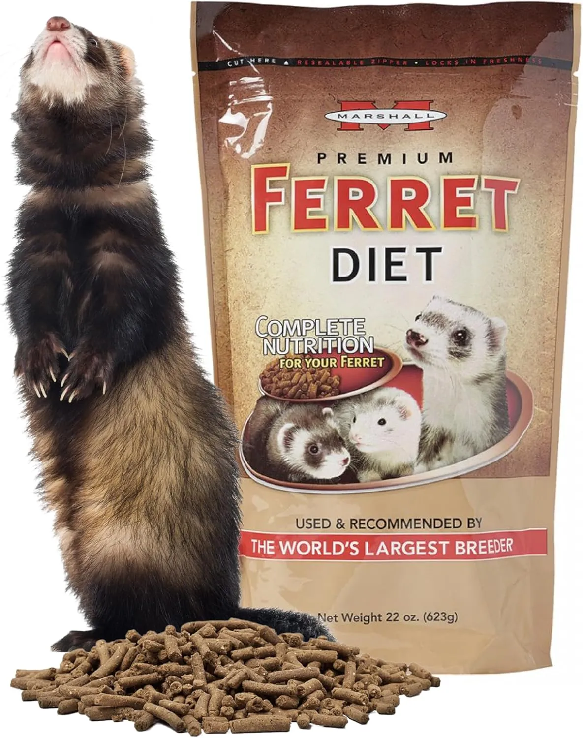 Marshall Pet Products Premium Ferret Diet Dry Food, 22 oz - Protein-Rich Formula for Balanced Nutrition, Digestive Support, and Ferret Health