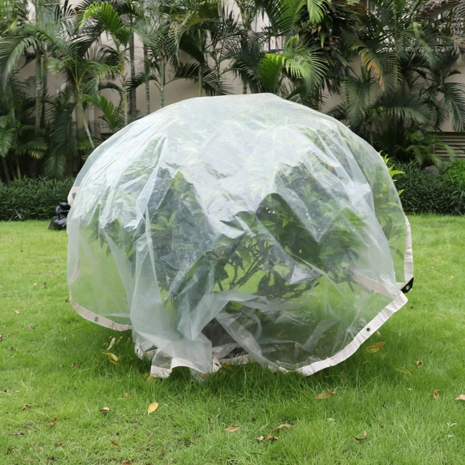 Outdoor Clear Tarps 9'9"x9'9" 6mil Thickened Vinyl Tarp Heavy Duty Waterproof Windproof, Outdoor Anti-Tear Tarpaulins Cover for Greenhouse Garden Plant Patio Pavilion Camping Cars
