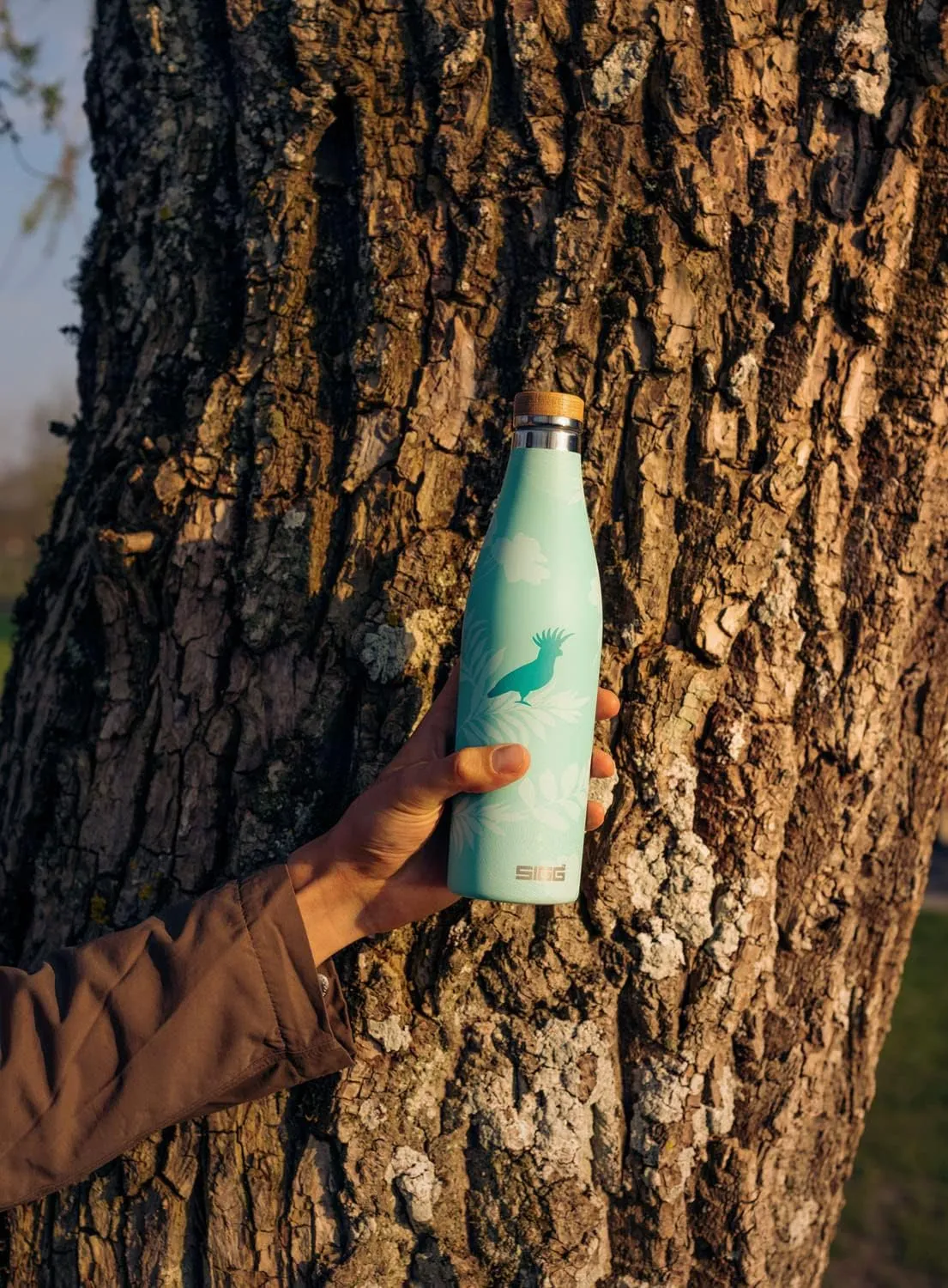 SIGG - Insulated Water Bottle - Meridian Sumatra Birds - Leakproof & Extra-Slim - BPA Free - Plastic Free - 18/8 Stainless Steel - Double Walled - Bamboo Screw Top - Glacier floral - 17 Oz