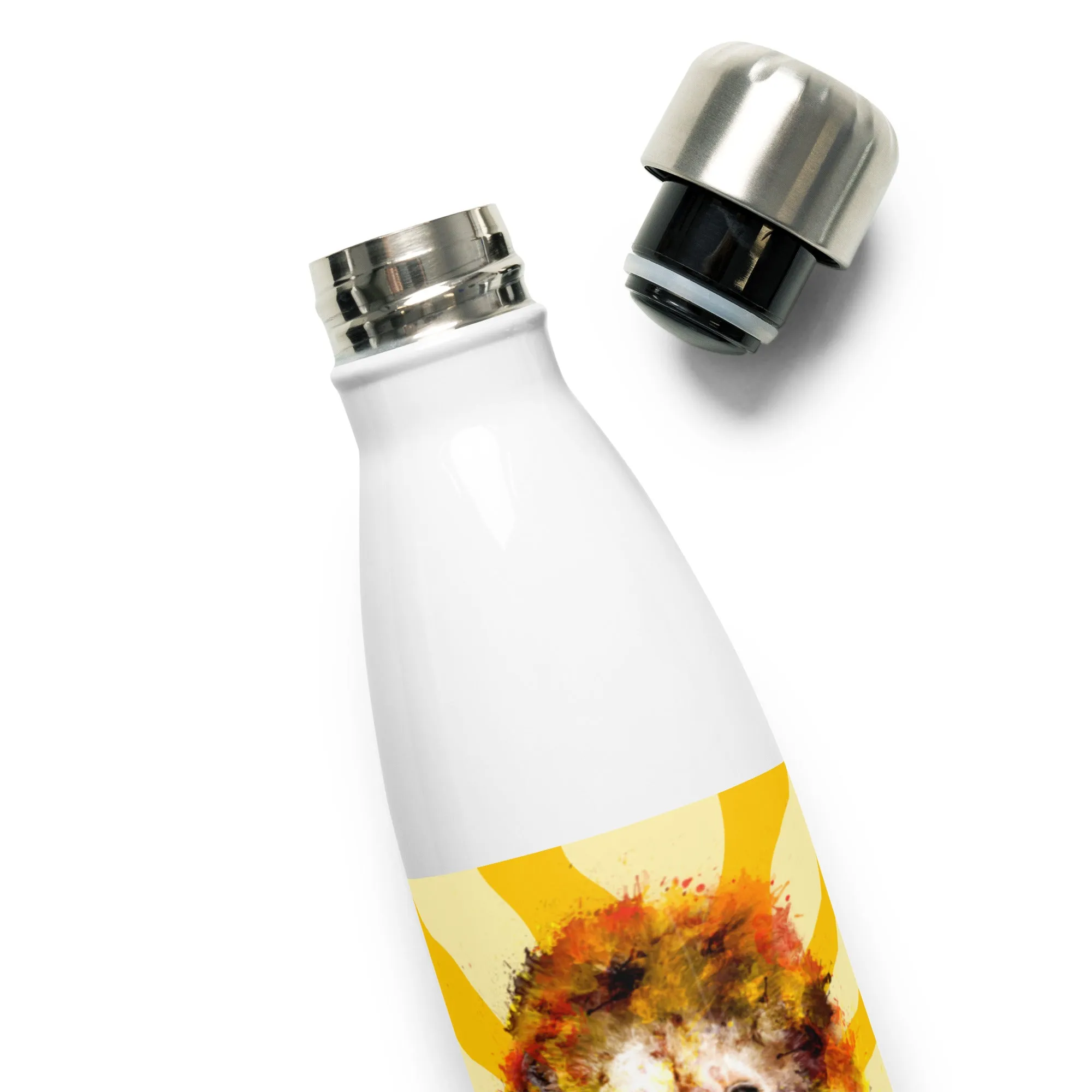 Sunshine Stainless Steel Water Bottle