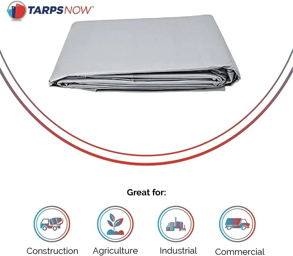 Tarps Now 8x30 Feet Poly Tarp |12 MIL Heavy Duty Waterproof Cover |Rip and Tear Proof Plastic Tarp with Rustproof Aluminum Grommets & Reinforced Edges |Ideal for Roof Repairs, Landscaping-Silver