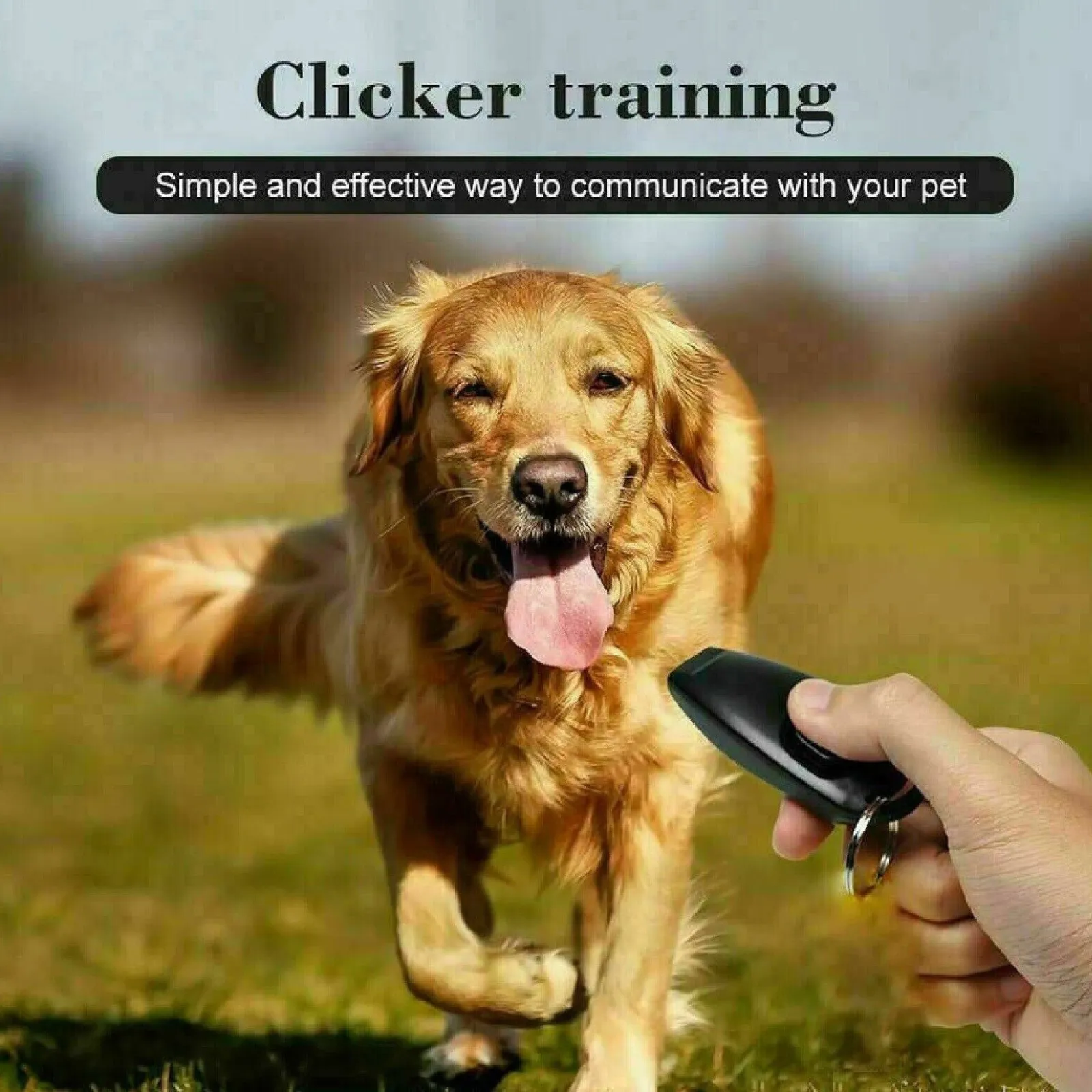 Ultrasonic Stop Pet Barking Pet Dog Training Whistle Clicker Train Skills