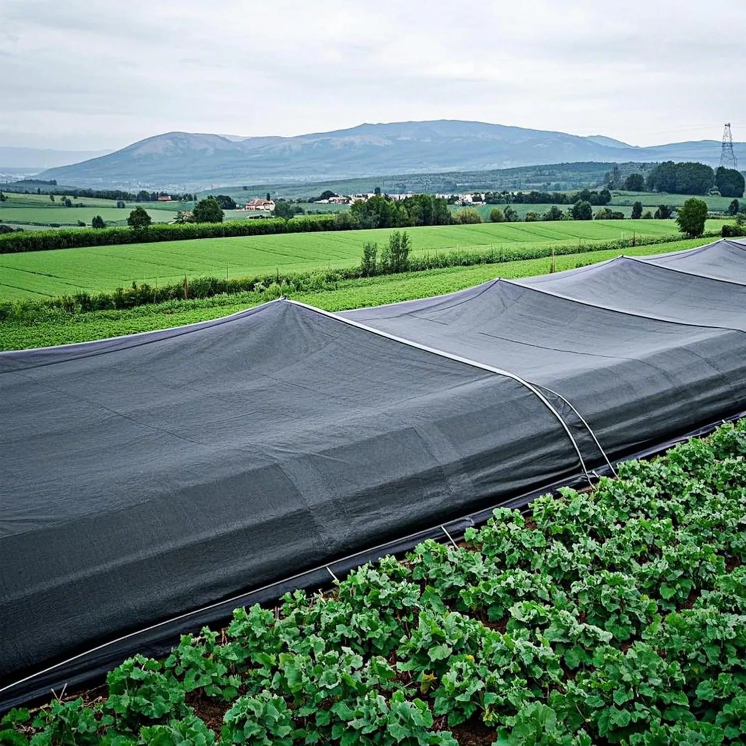 winemana Black Shade Cloth 50%, 30x50 FT Mesh Tarp - Garden Shade for Greenhouse, Patio, Vegetables, Plants Cover and Chicken Coops, Sun Shade Net for Outdoor Protection with Reinforced Grommets